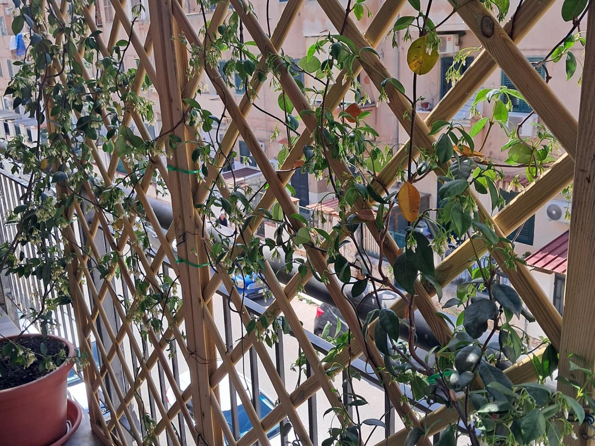 Casa Zia Rosetta Apartment Palermo Luaran gambar